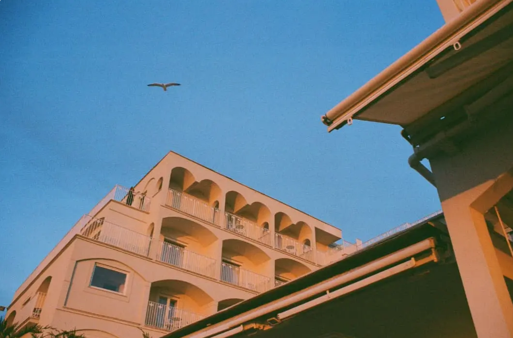 Um grande prédio com um pássaro voando acima, tendo um céu azul ao fundo.